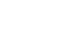 flash logo